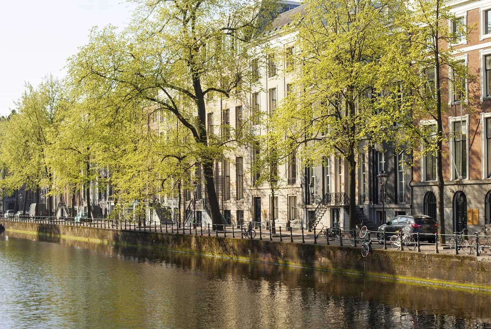 The amsterdam canal views